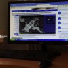 День української писемності та мови