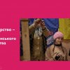 Волонтери: герої нашого часу