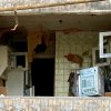Вишнякова_Карина._Війна_в_моєму_вікні._Київ
