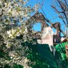 Герасименко_Марія._Неждана_весна._Ворзель