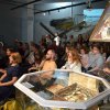 Відкриття виставки НСЖУ «Розстріляна свобода слова»