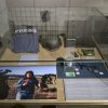 Відкриття виставки НСЖУ «Розстріляна свобода слова»