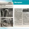 Звітна конференція з навчальної практики мж