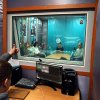 Оновлена програма для слухачів від Київського міського центру зайнятості