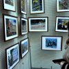 Відкриття фотовиставки «ВІЙНА. ОБ’ЄКТИВно: погляд грінченківців»